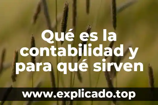 Qué es y para qué sirven las regulaciones no arancelarias 5 Qué es la contabilidad y para qué sirven