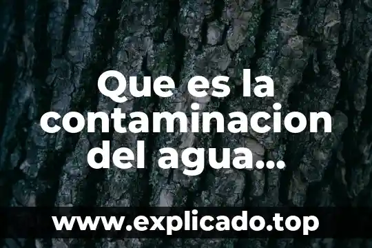 Qué es un volcán descripción en inglés 6 Que es la contaminacion del agua caricatura
