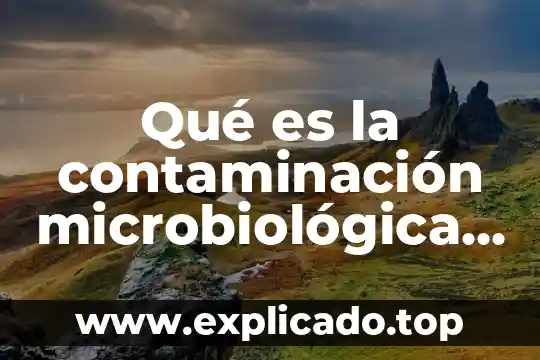 Qué es la contaminación microbiológica en alimentos