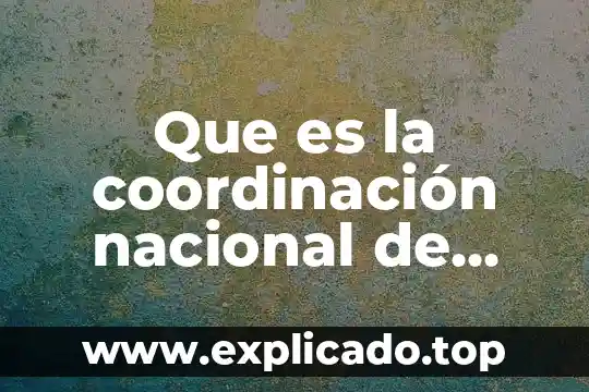 Que es middleware basado en coordinacion 8 Que es la coordinación nacional de servicio profesional docente