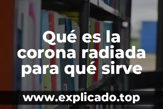 Qué es una corona libre metal 3 Qué es la corona radiada para qué sirve