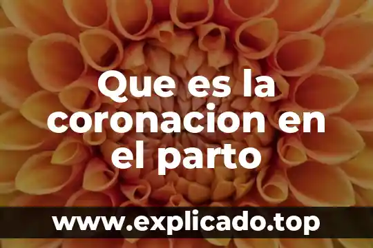 Que es intervalo entre parto 3 Que es la coronacion en el parto