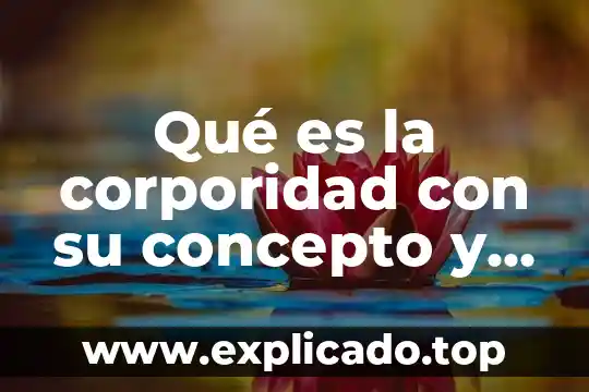 Qué es Canis Major significado 8 Qué es la corporidad con su concepto y significado