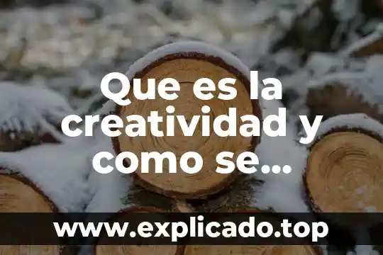 Que es la creatividad primaria y secundaria 8 Que es la creatividad y como se desarrolla