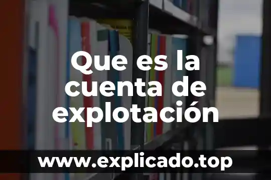 Como es darse cuenta de que es importante evaluar 4 Que es la cuenta de explotación