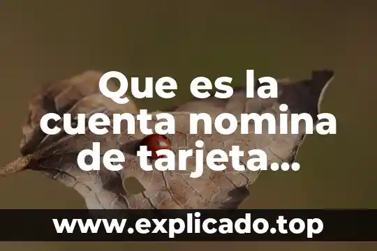 Que es una tarjeta de nomina banorte 5 Que es la cuenta nomina de tarjeta credito