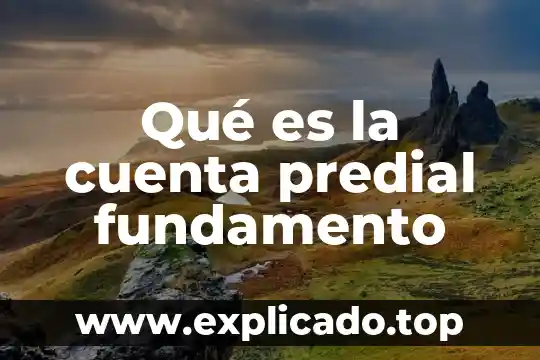 Que es la cuenta de explotación 6 Qué es la cuenta predial fundamento