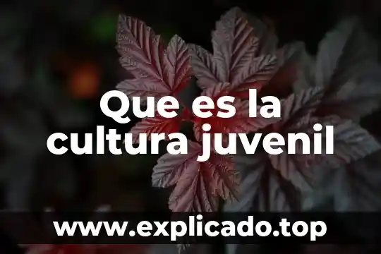 Que es acción juvenil 4 Que es la cultura juvenil