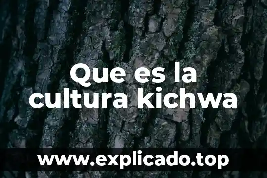 Que es cultura sexual 7 Que es la cultura kichwa