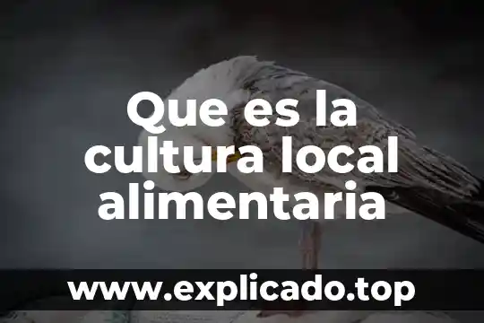 Servicio de transporte local que es 3 Que es la cultura local alimentaria