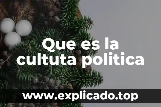 Que es política de devoluciones ecommerce 3 Que es la cultuta politica