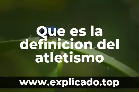 Definicion de que es una entrevista directa 8 Que es la definicion del atletismo