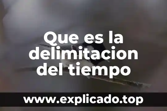 Que es tiempo de una danza 3 Que es la delimitacion del tiempo
