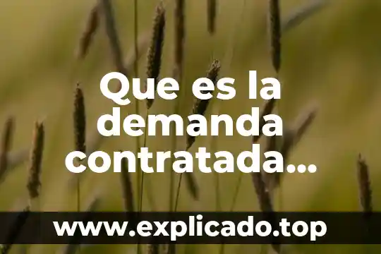 Qué es mezcladora eléctrica 4 Que es la demanda contratada energia eléctrica