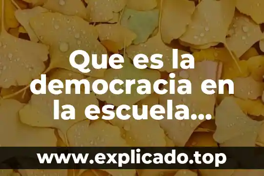 Que es un ocelote y sus caracteristicas 7 Que es la democracia en la escuela caracteristicas