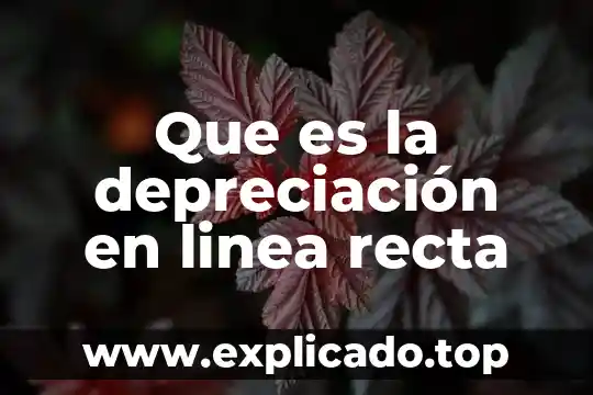 Que es punto de una recta 4 Que es la depreciación en linea recta