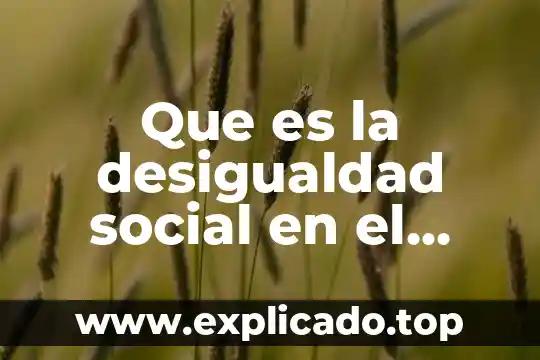 Que es gestor y tecnico del departamento de recursos 3 Que es la desigualdad social en el mundo