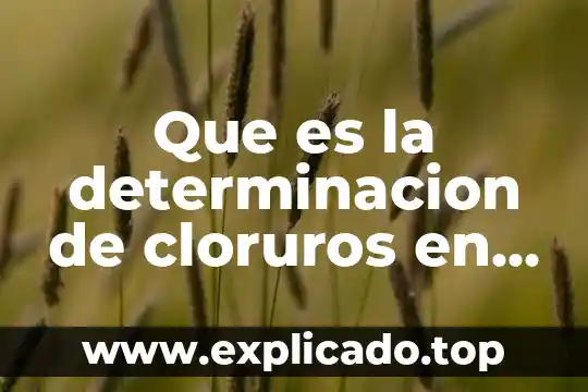 Que es la determinacion de cloruros en el agua