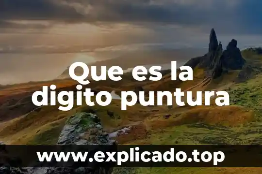 Qué es dígito de verificación efecty 5 Que es la digito puntura