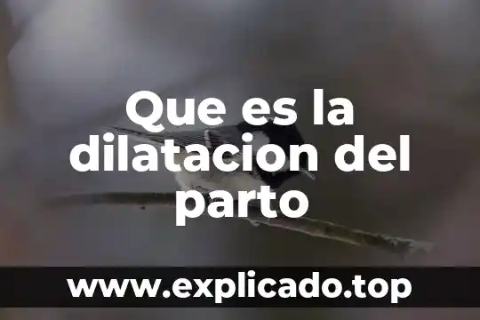 Que es la dilatacion del parto