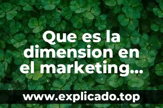 Qué es lo más importante del marketing 4 Que es la dimension en el marketing digital