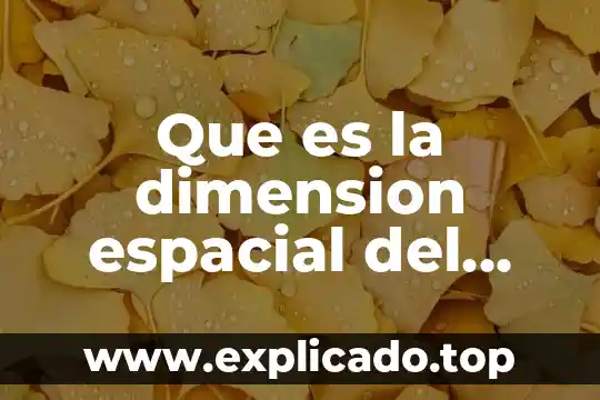Que es el bono productivo 7 Que es la dimension espacial del proceso productivo