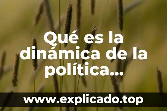 Qué es la teoría económica y cómo se define 7 Qué es la dinámica de la política económica