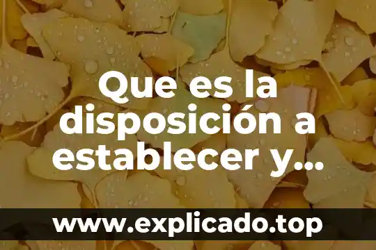 Por que es importante utilizar escalas de quimica 8 Que es la disposición a establecer y utilizar controles amplios