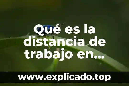 Qué es basal en biología 7 Qué es la distancia de trabajo en biología
