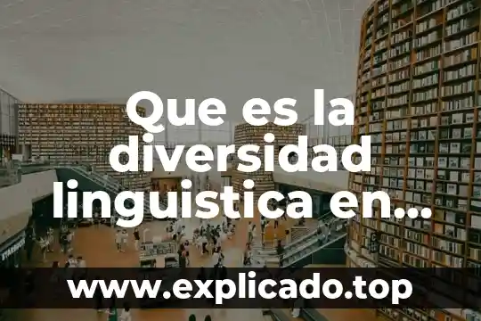 Qué es la diversidad linguística concepto 7 Que es la diversidad linguistica en un cuentos