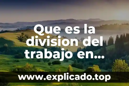 Qué es lo que hace la sociología educativa 7 Que es la division del trabajo en sociologia
