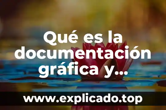 Concepto de acta de muestreo que es 8 Qué es la documentación gráfica y fonética en el muestreo