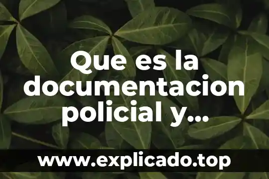 Qué es vigilancia policial en México 6 Que es la documentacion policial y cuales son sus fines