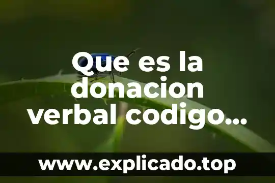 Que es el salario ley federal del trabajo 4 Que es la donacion verbal codigo civil federal