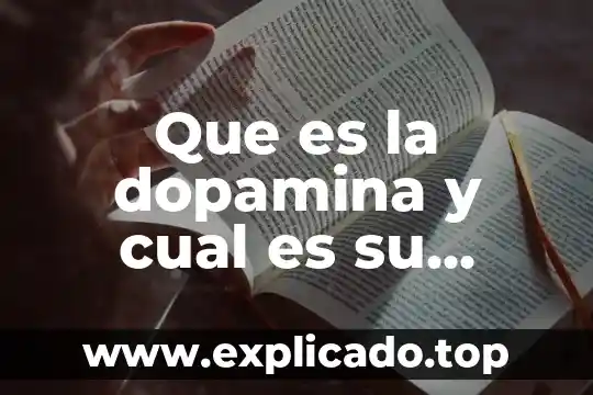 Que es y que funcion tiene la condosef 4 Que es la dopamina y cual es su funcion
