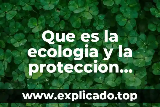 Que es lo que mas contamina 4 Que es la ecologia y la proteccion ambiental
