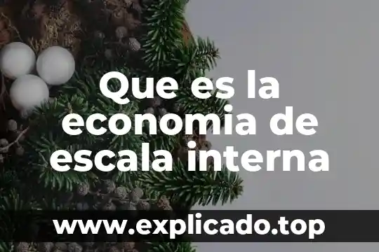 Que es la economia de escala interna