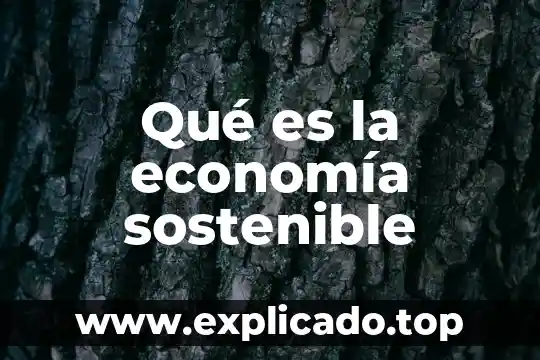Qué es ética y desarrollo sostenible 6 Qué es la economía sostenible