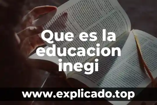 Vulcanismos inegi que es 5 Que es la educacion inegi