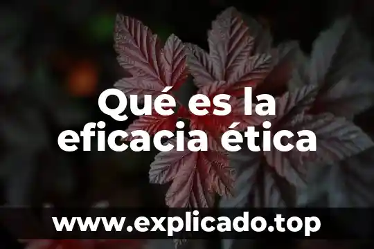 Que es un glosario mejoramos nuestra vida ejemplo 8 Qué es la eficacia ética