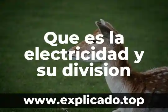 Electricidad fria que es 4 Que es la electricidad y su division
