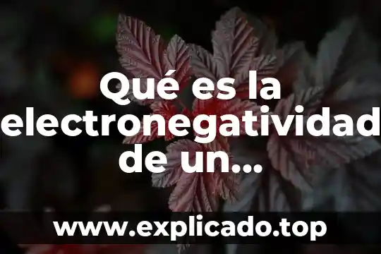 Qué es un elemento sustentante 4 Qué es la electronegatividad de un elemento