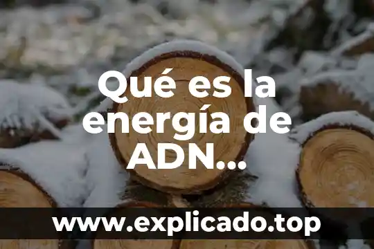 Que es la energia custica 5 Qué es la energía de ADN recombinante