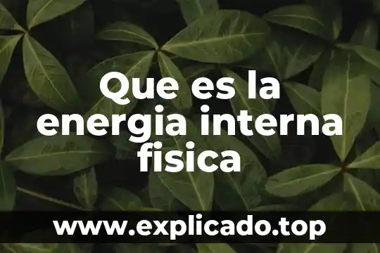 Qué es una interna en hospital 4 Que es la energia interna fisica