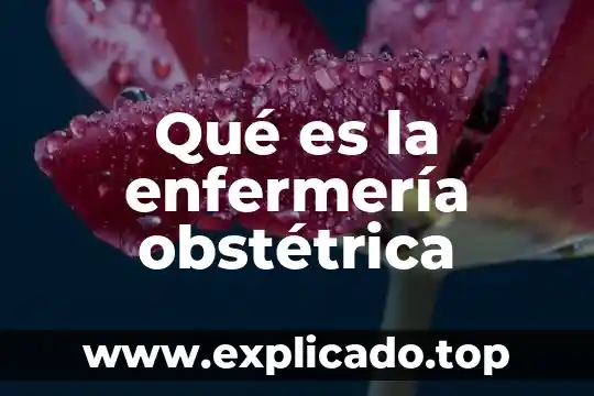 Que es muerte enfermeria 7 Qué es la enfermería obstétrica