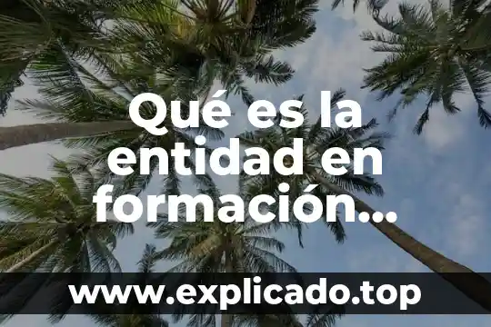 Qué es concepto de cívica y ética 4 Qué es la entidad en formación cívica y ética