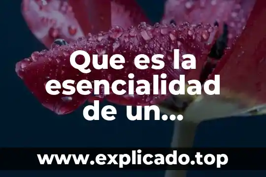 Que es el elemento social y natural 4 Que es la esencialidad de un elemento