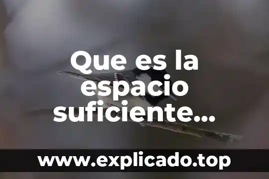 Investigación que es espacio 6 Que es la espacio suficiente biologia