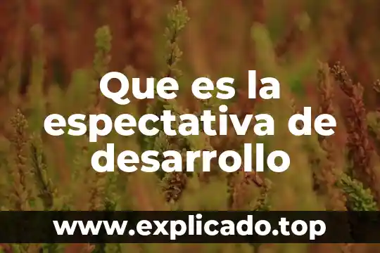 Proyecto web que es 5 Que es la espectativa de desarrollo