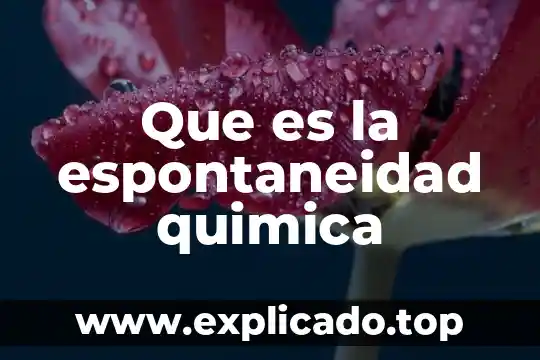 Que es flash point en una sustancia quimica 7 Que es la espontaneidad quimica